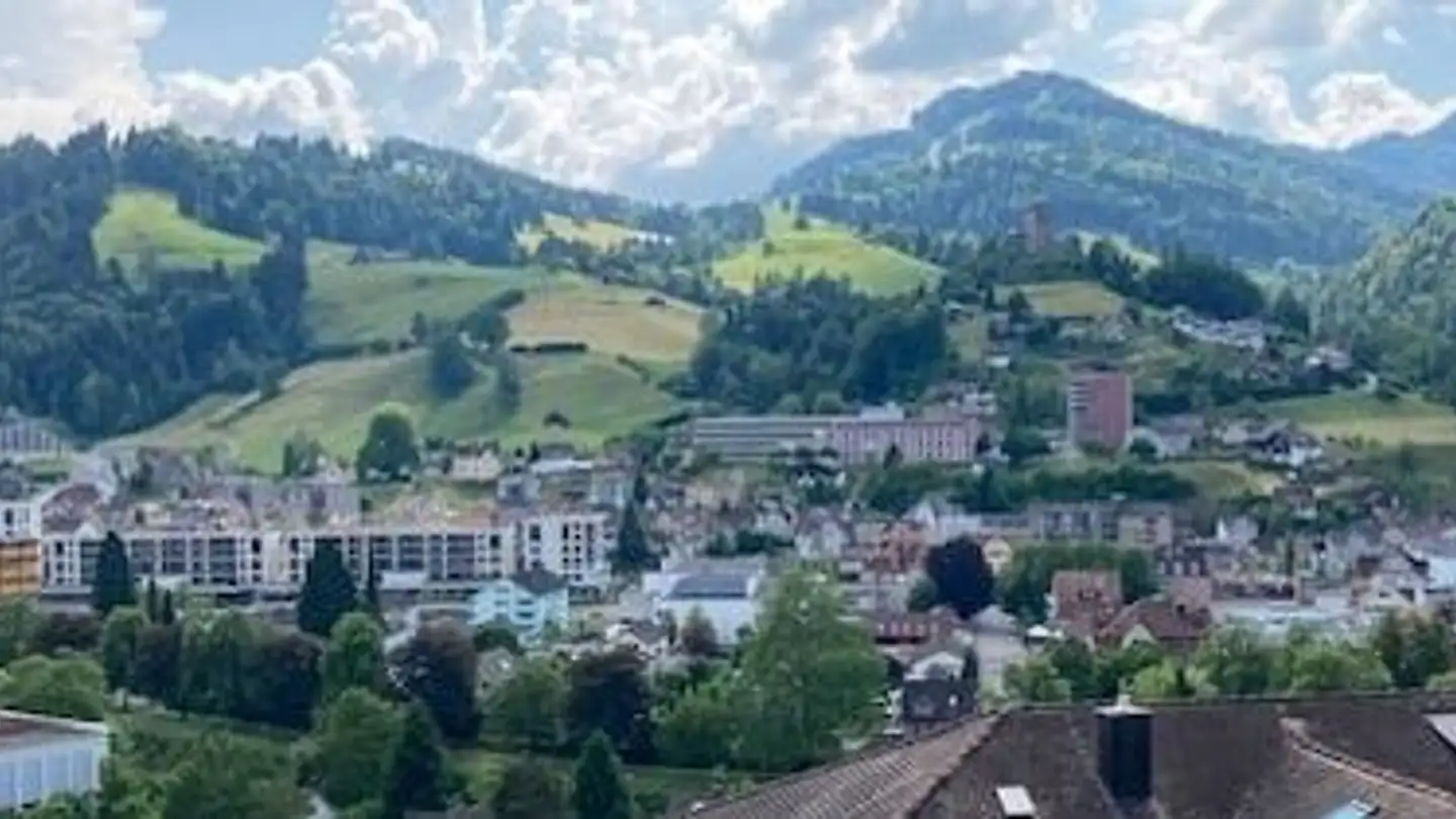 Maison en terrasse à louer - Sonnenrainstrasse 3, 9630 Wattwil - Photo 3