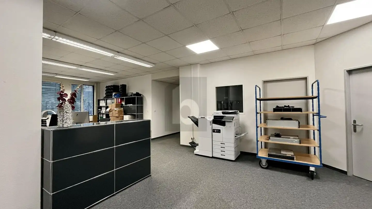 Bureau à louer - 8952 Schlieren - Photo 2