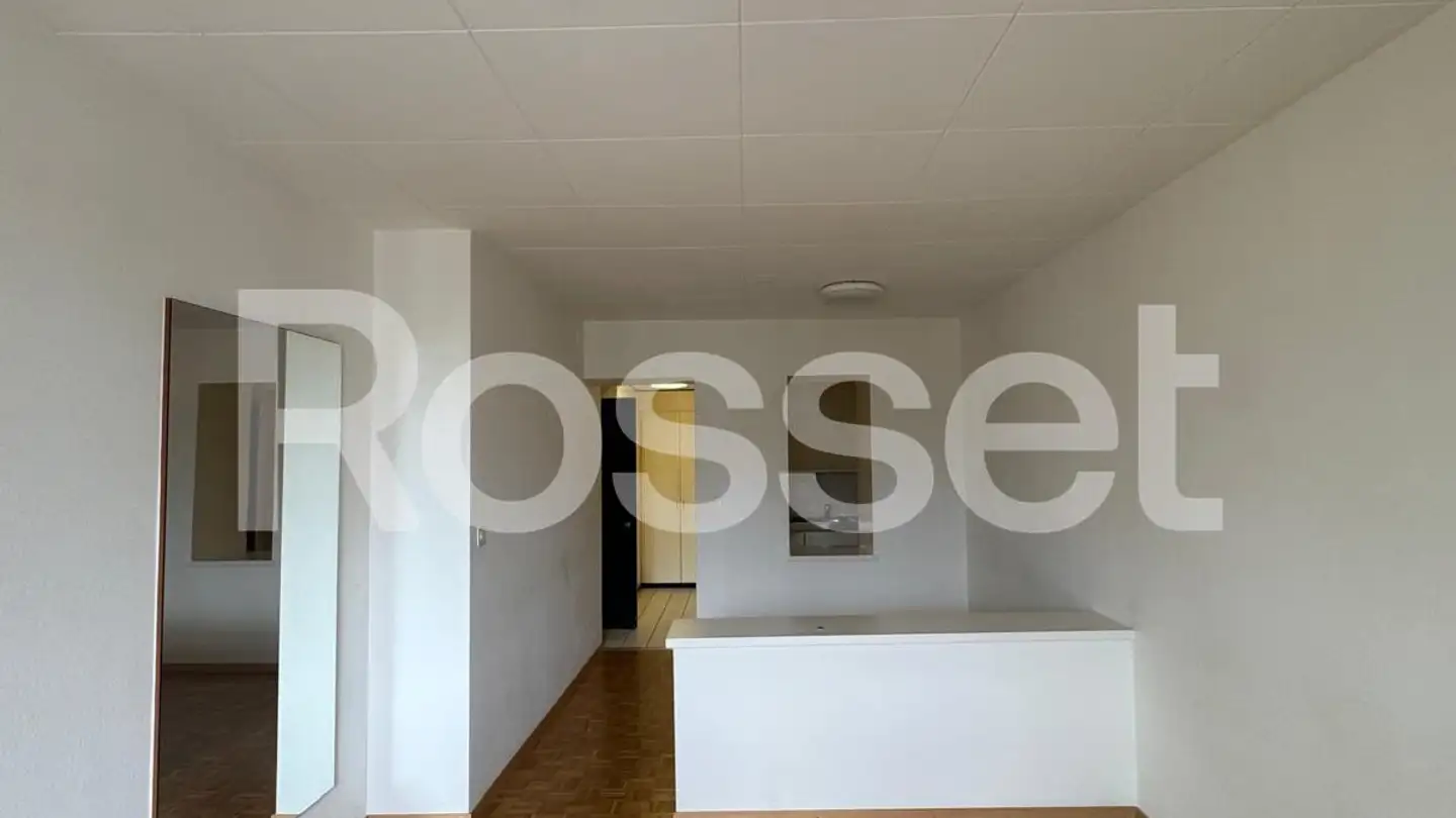 Studio in affitto - Rue Ami- Lévrier 9, 1201 Genève