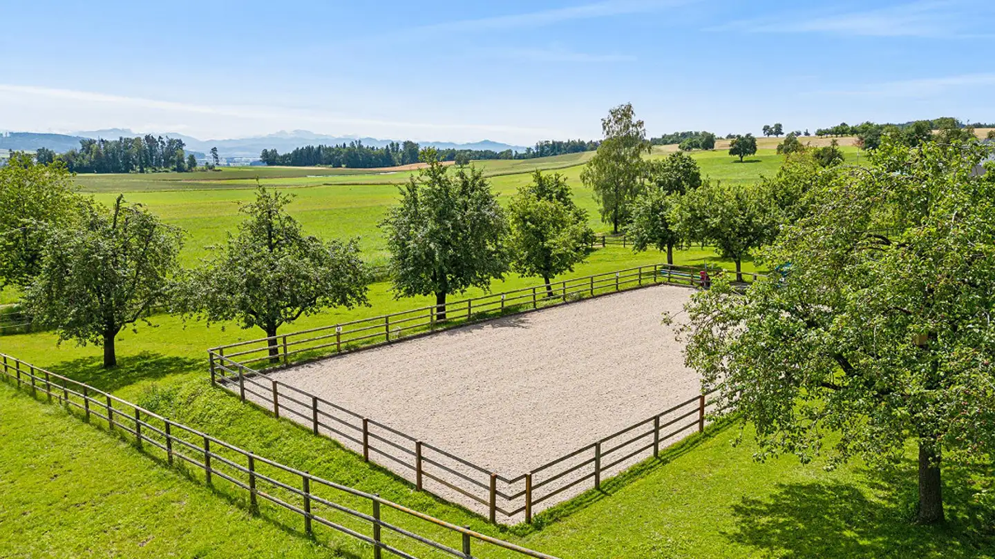 Villa in vendita - Frauenfelderstrasse 89, 8514 Amlikon-Bissegg - Foto 4