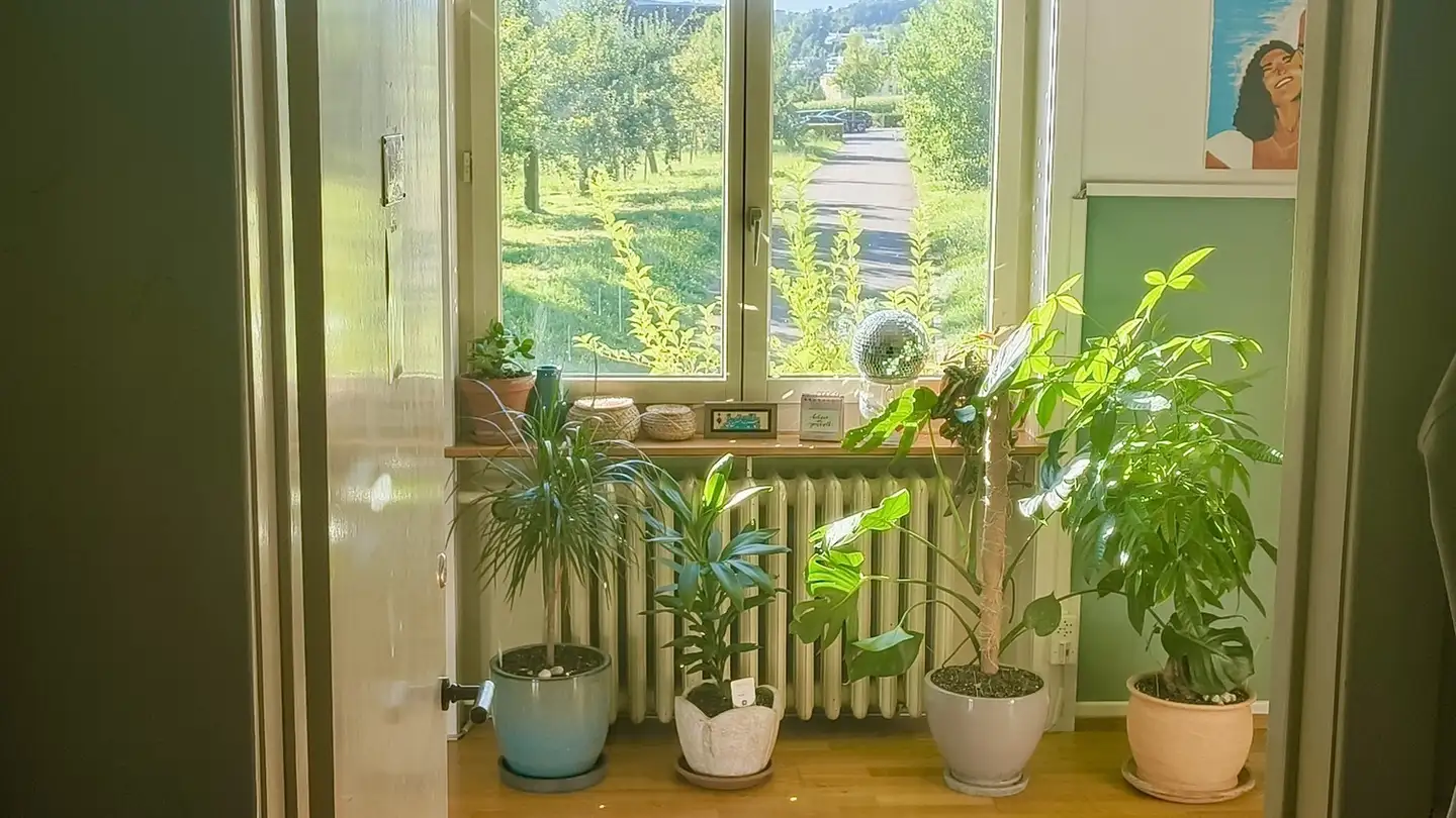 Single room for rent - 8408 Winterthur - Photo 4