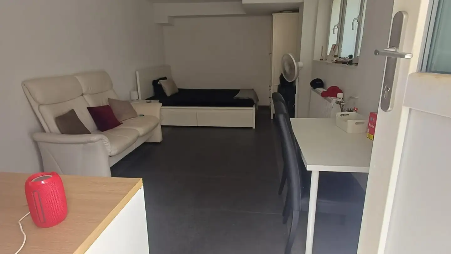 Apartment for rent - Villmergerstrasse, 5610 Wohlen AG - Photo 2