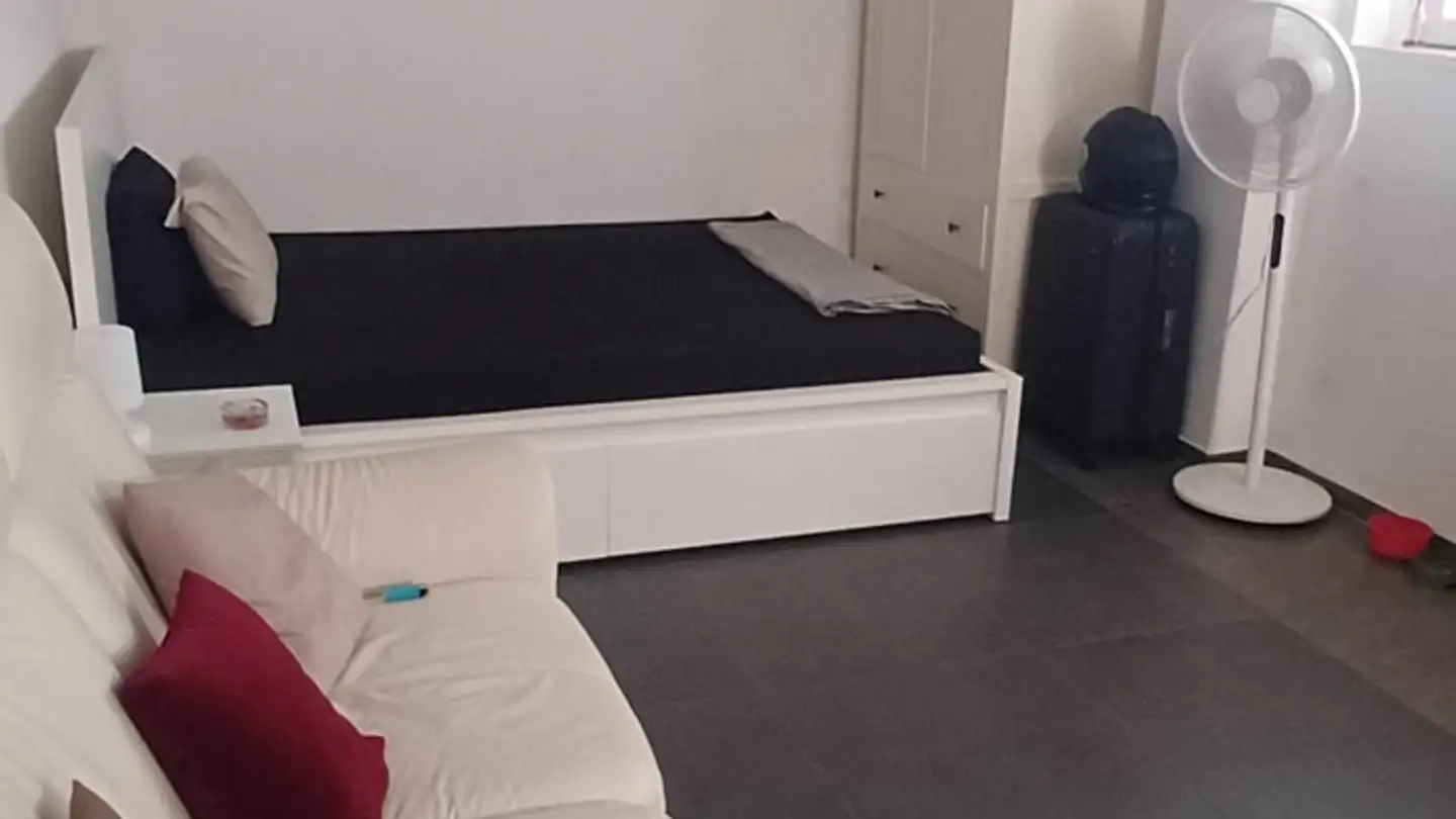 Apartment for rent - Villmergerstrasse, 5610 Wohlen AG - Photo 3