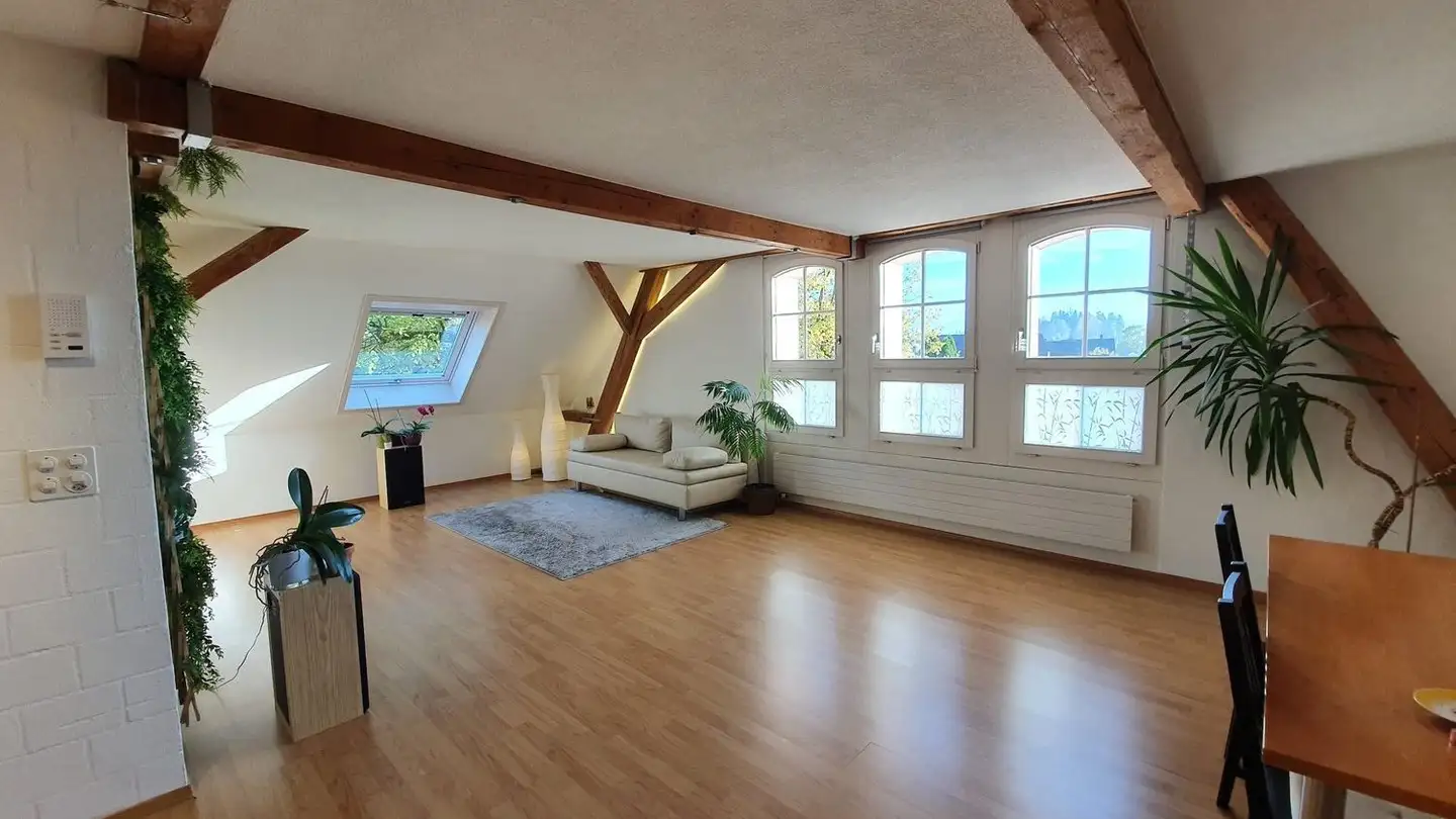 Apartment for rent - In Der Mühle 1, 8340 Hinwil - Photo 4