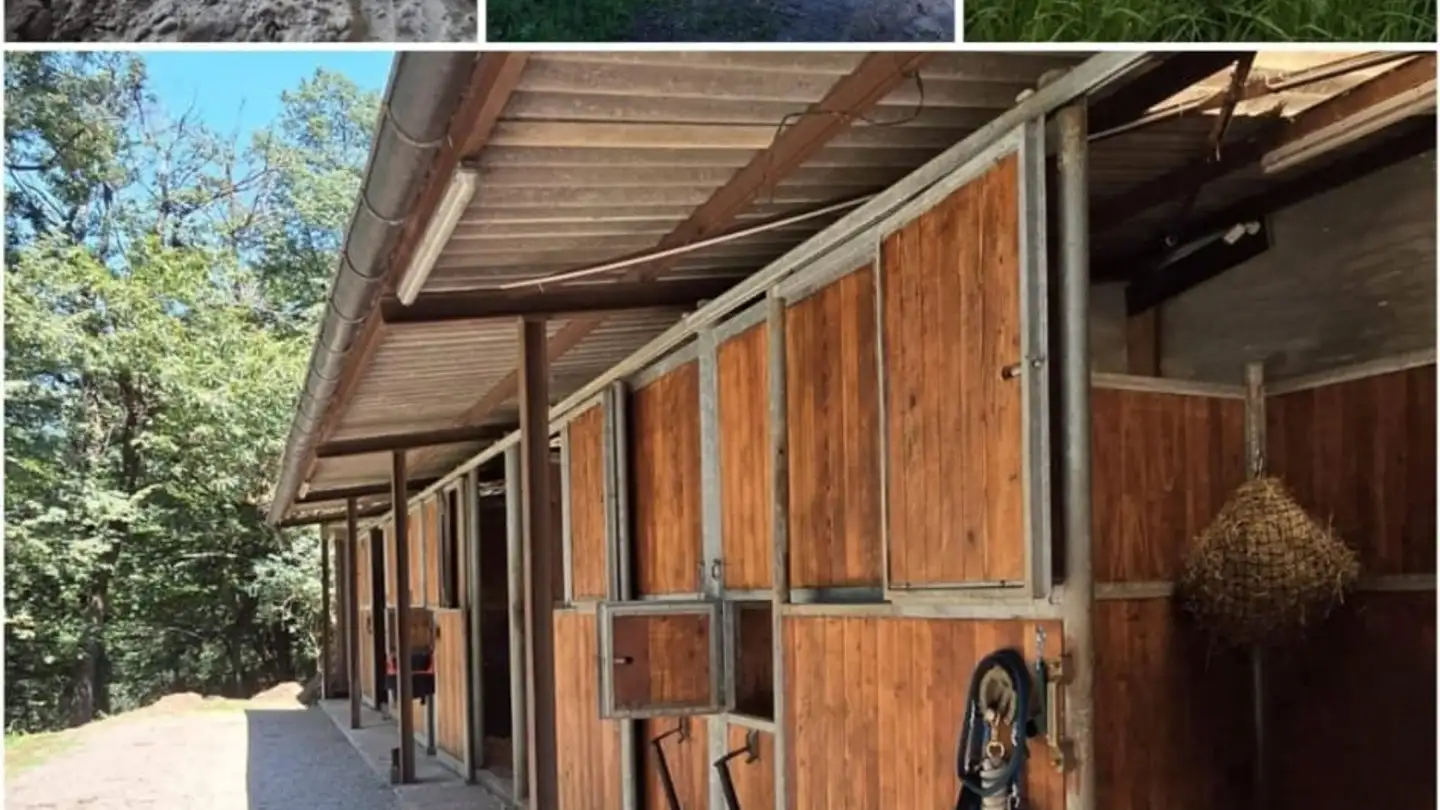 Zimmer mieten - 6947 Vaglio