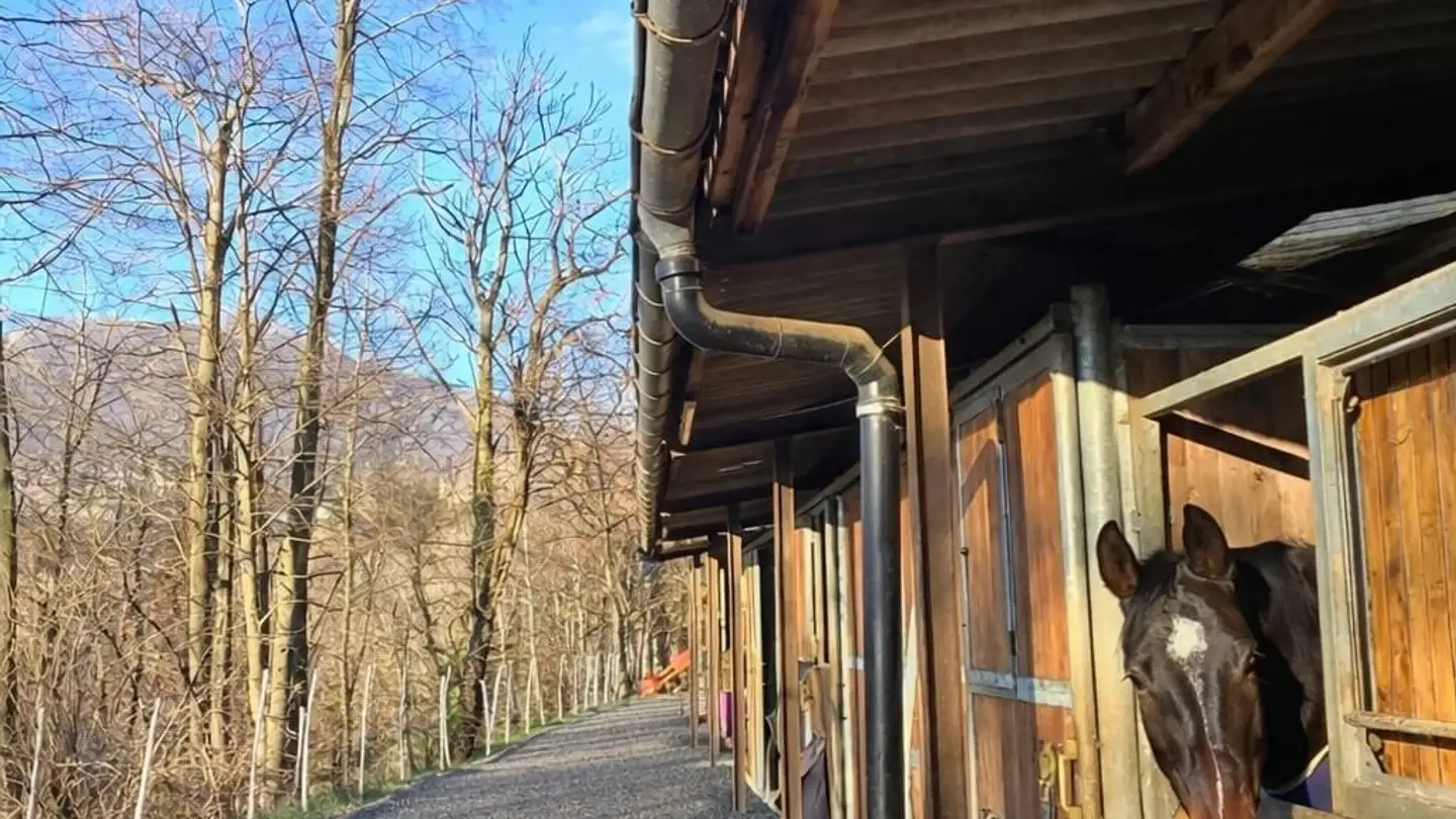 Zimmer mieten - 6947 Vaglio - Foto 2