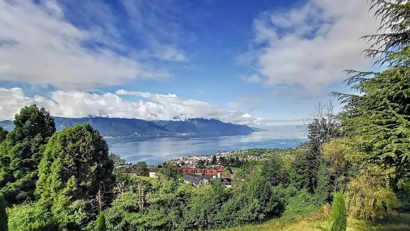 Villa à vendre - 1832 Chamby - Photo 3