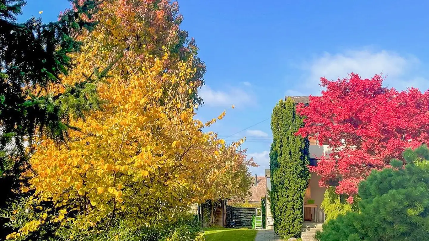 Casa singola in vendita - 5503 Schafisheim - Photo 3