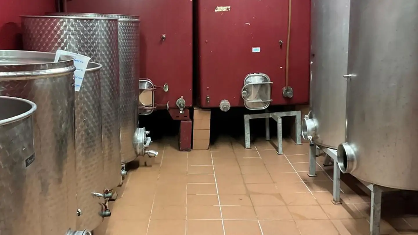 Commerciale in affitto - 1912 Leytron - Foto 3