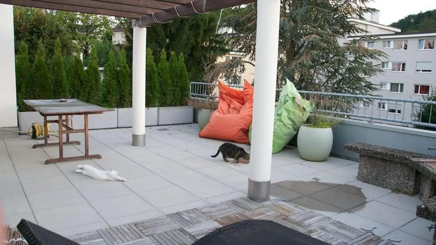 Appartamento in affitto - Holderbachweg 8, 8046 Zürich - Photo 2