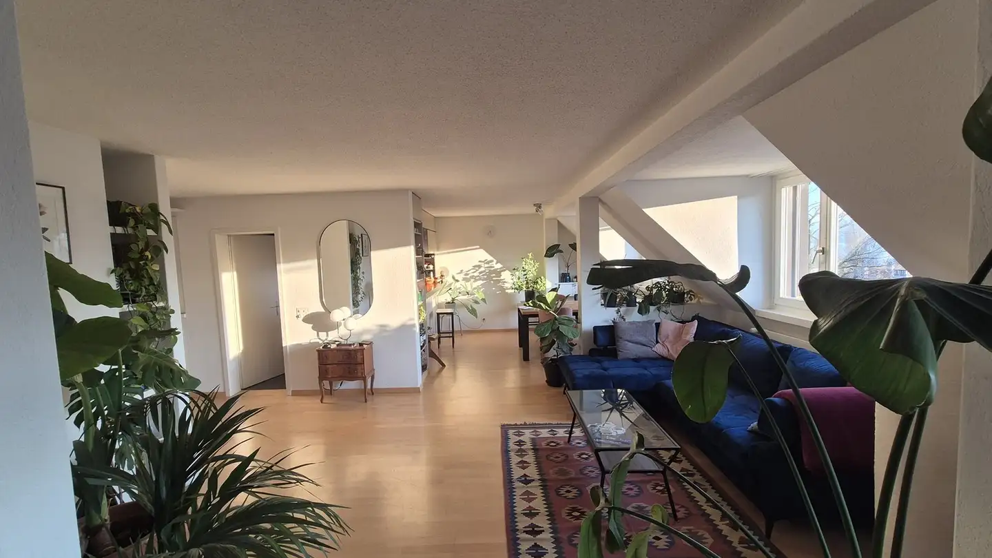 Chambre à louer - Dufourstrasse 161, 8008 Zürich
