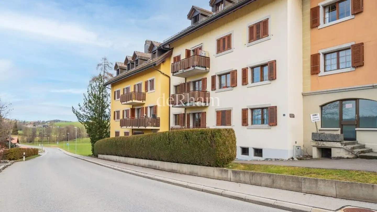 Place de parking extérieure à louer - Route Du Village 54, 1070 Puidoux