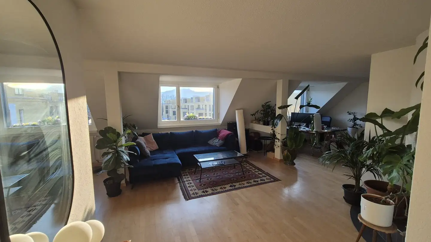 Chambre à louer - Dufourstrasse 161, 8008 Zürich - Photo 2