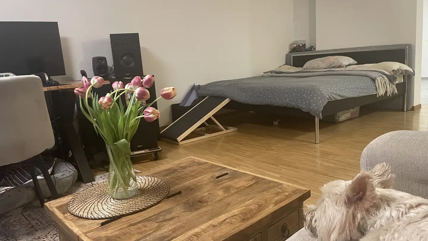 Wohnung mieten - 8910 Affoltern am Albis - Foto 4