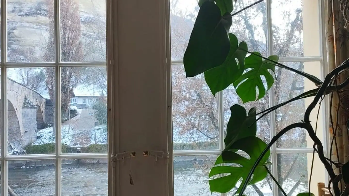 Appartement à louer - Place Du Petit-Saint-Jean 13a, 1700 Fribourg - Photo 3