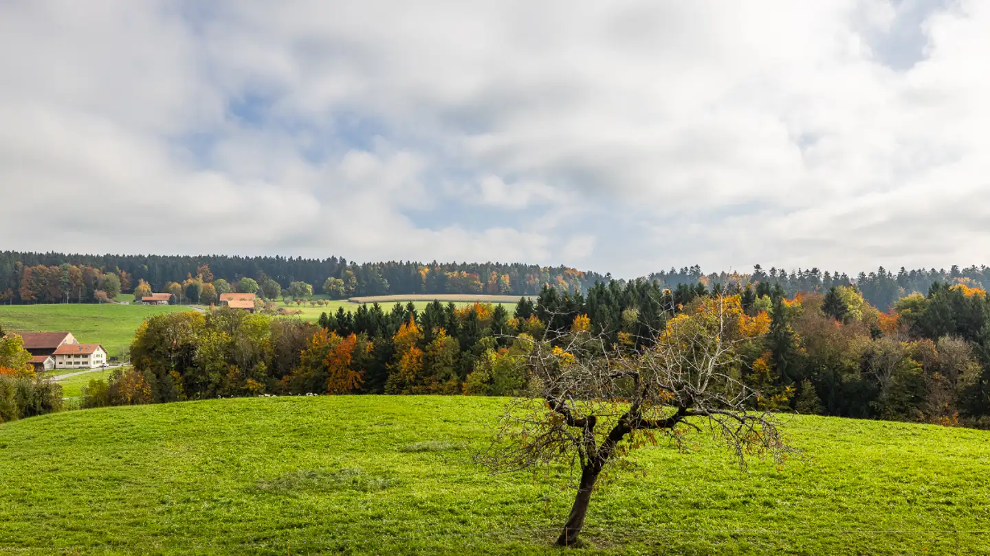 Appartamento in vendita - Route De Romont 45, 1699 Porsel - Photo 4