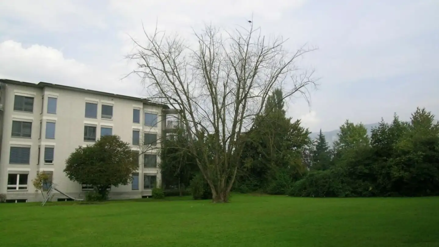Appartamento in affitto - Dorfackerstrasse 27, 4528 Zuchwil - Foto 2