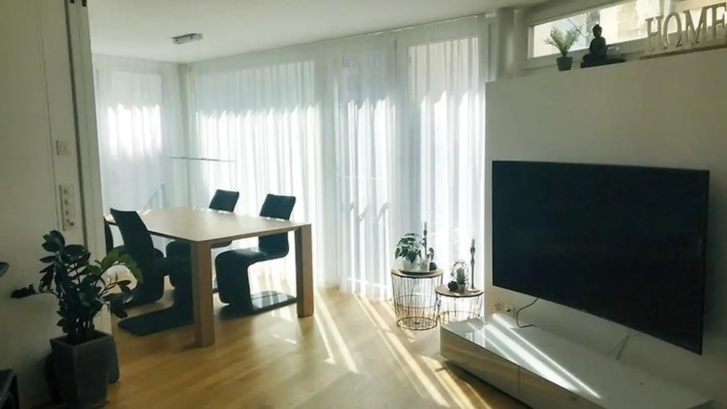 Furnished apartment for rent - 4102 Binningen