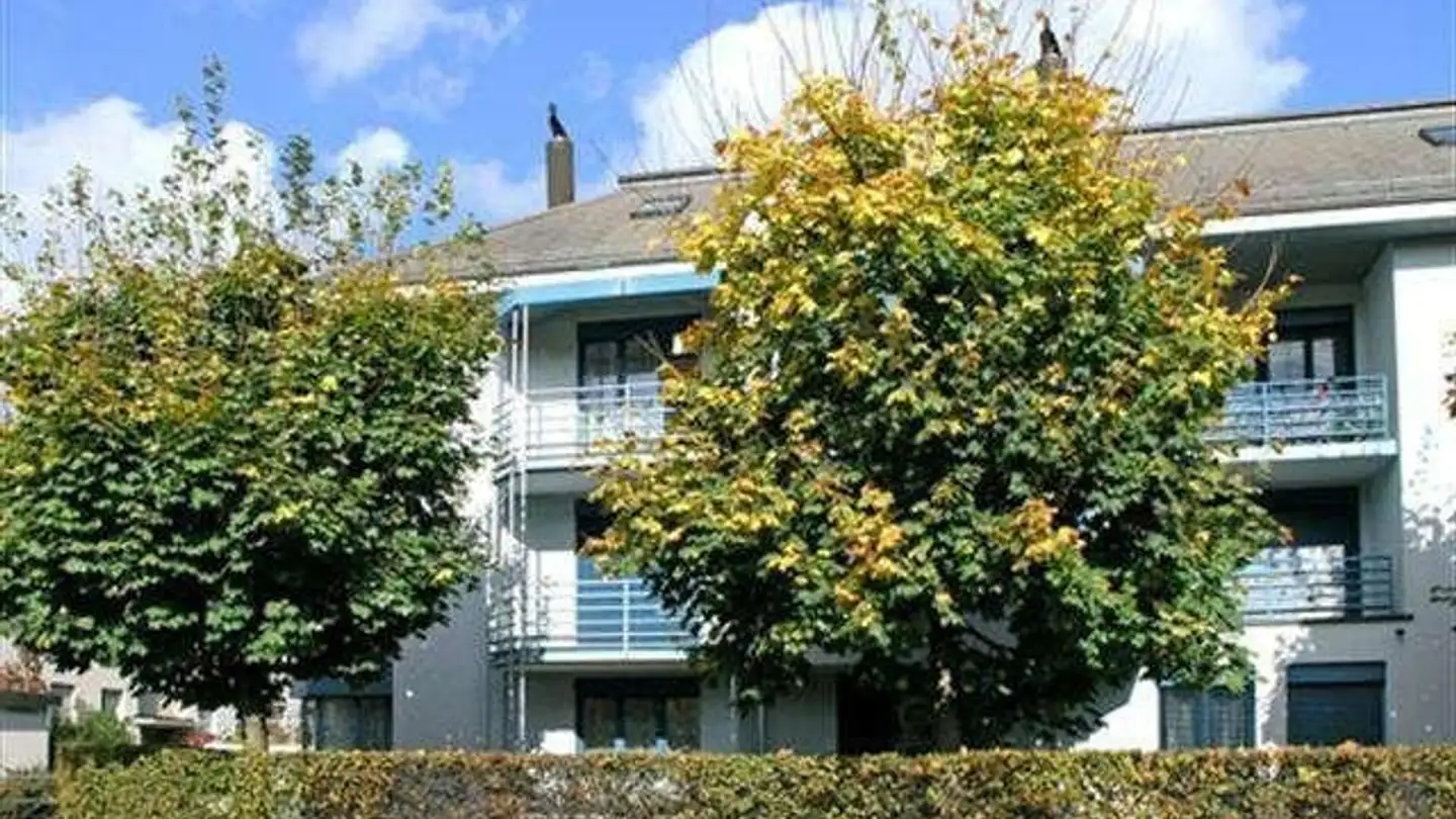 Appartamento in affitto - Tramstrasse 91, 8050 Zürich