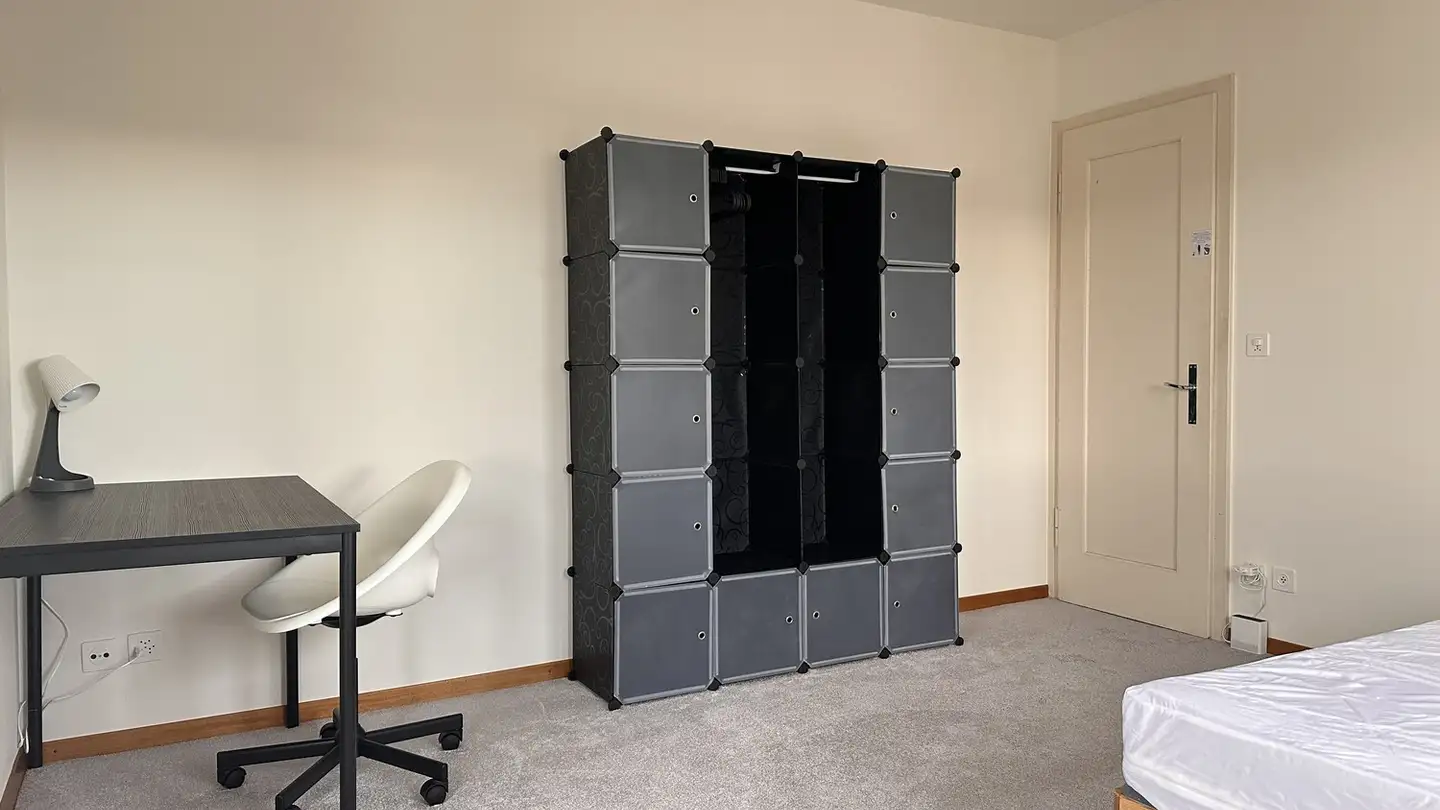 Chambre à louer - Dachslernstrasse 160, 8048 Zürich - Photo 3