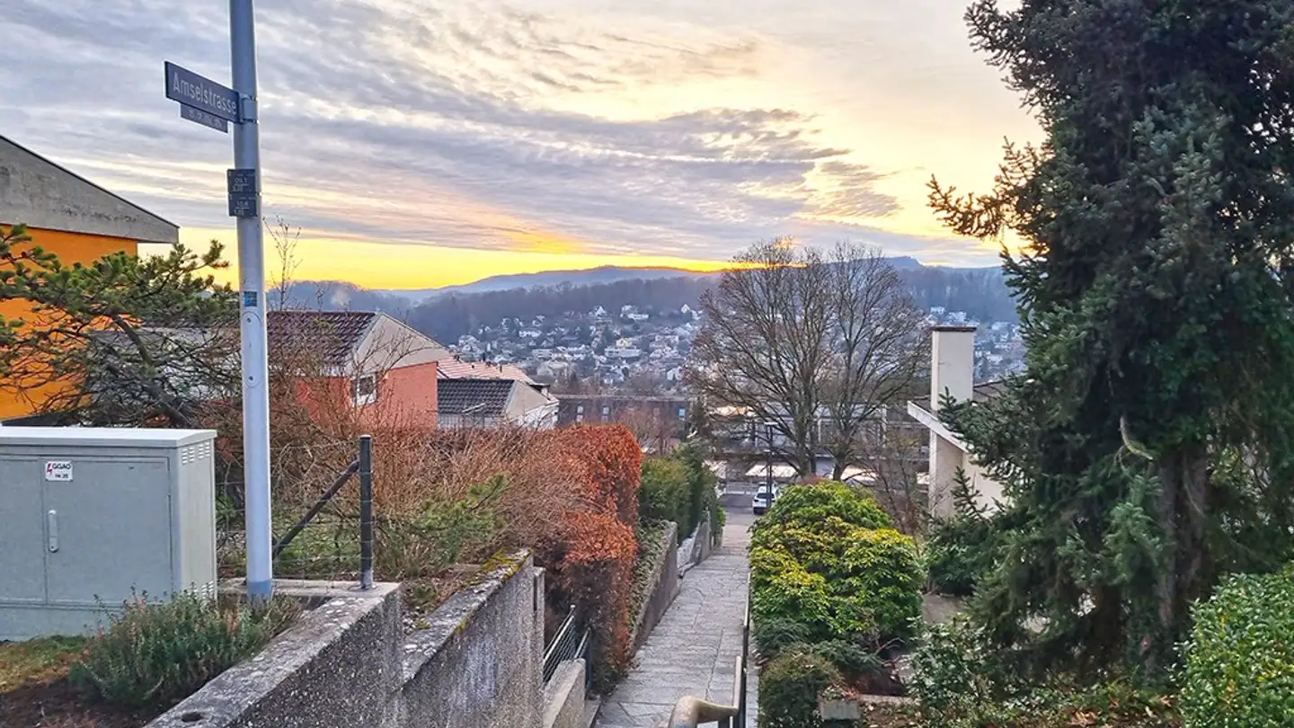 Maison individuelle à vendre - 4102 Binningen