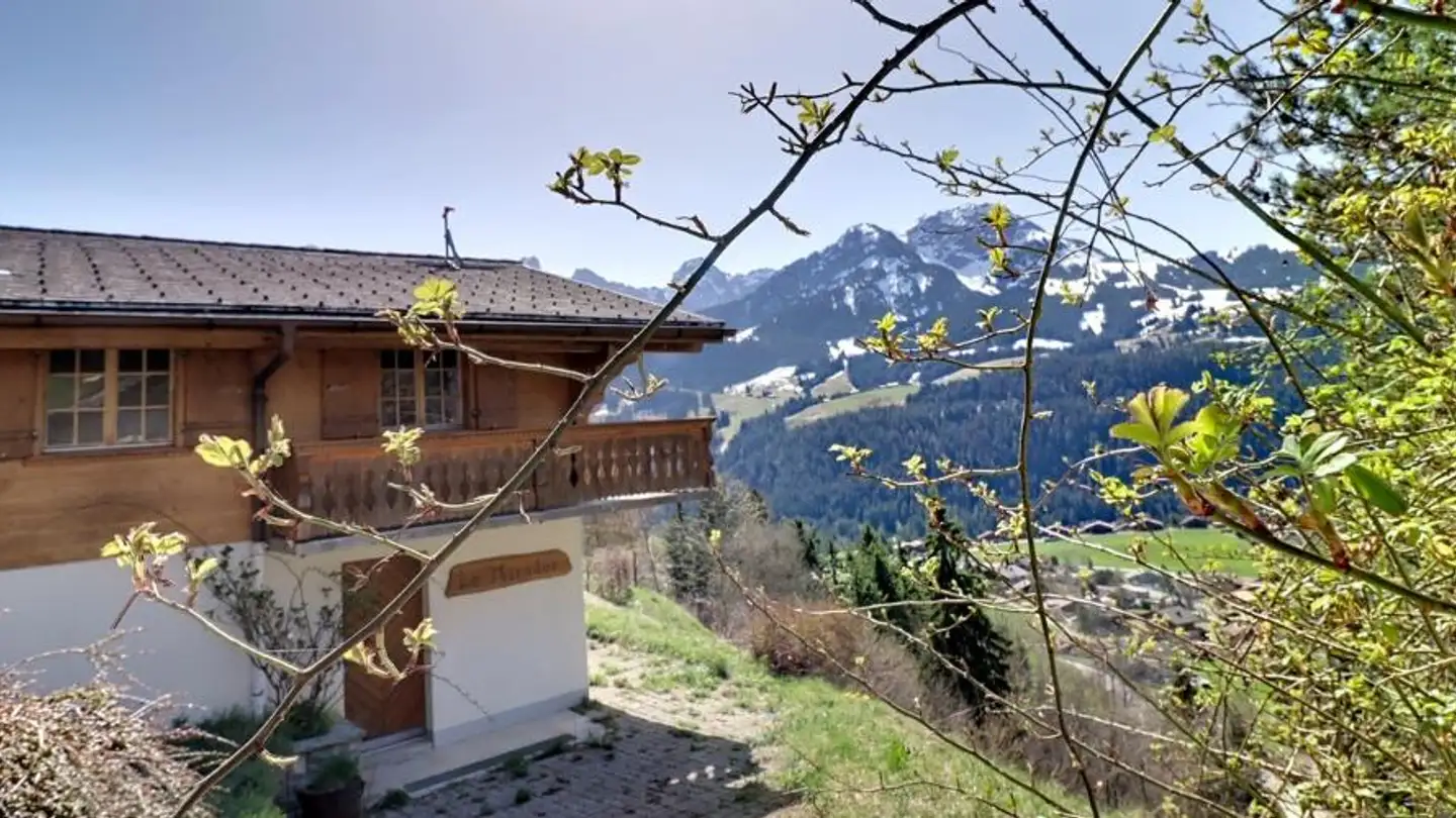 Chalet for sale - 1660 Château-d'Oex - Photo 2