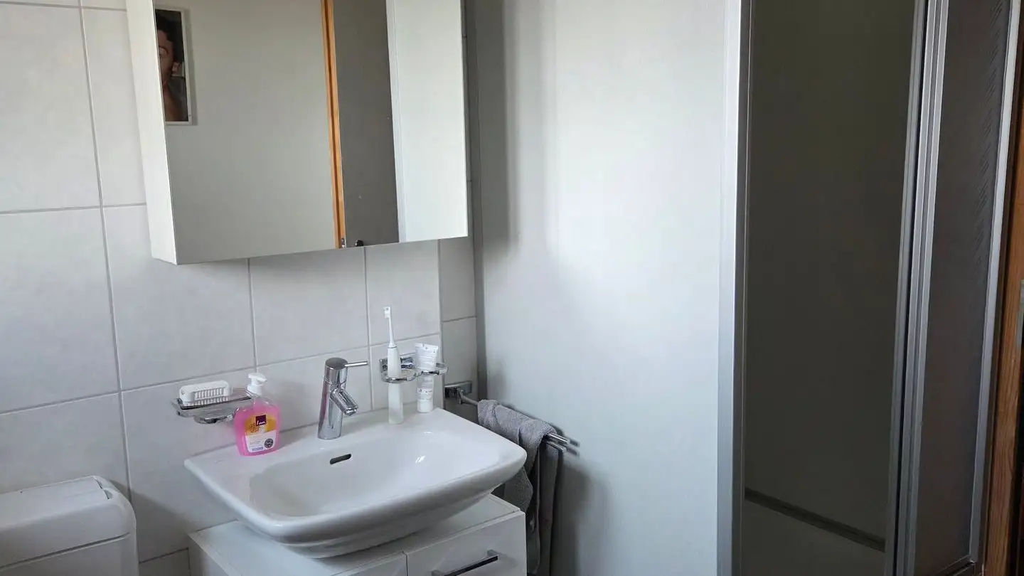 Attico in affitto - Heimeliweg 18, 8952 Schlieren