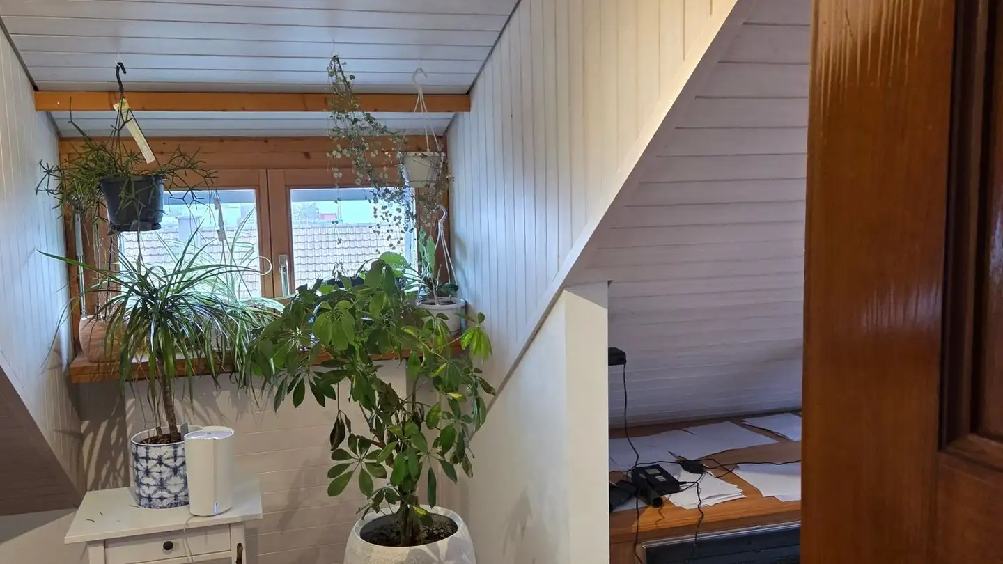 Attico in affitto - Heimeliweg 18, 8952 Schlieren - Foto 2