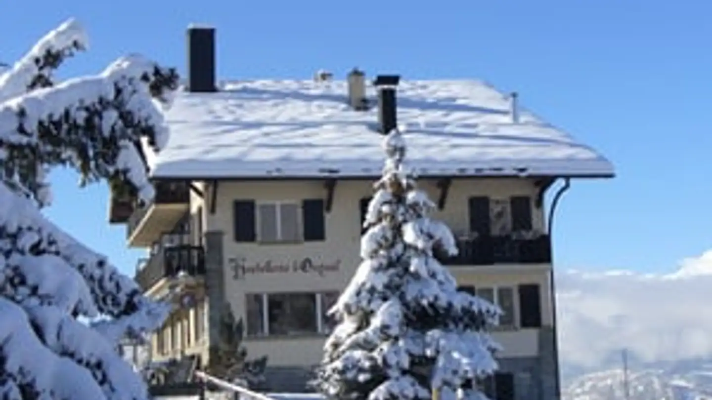 Geschäft kaufen - Chemin d'Orzival, 3967 Vercorin - Foto 2