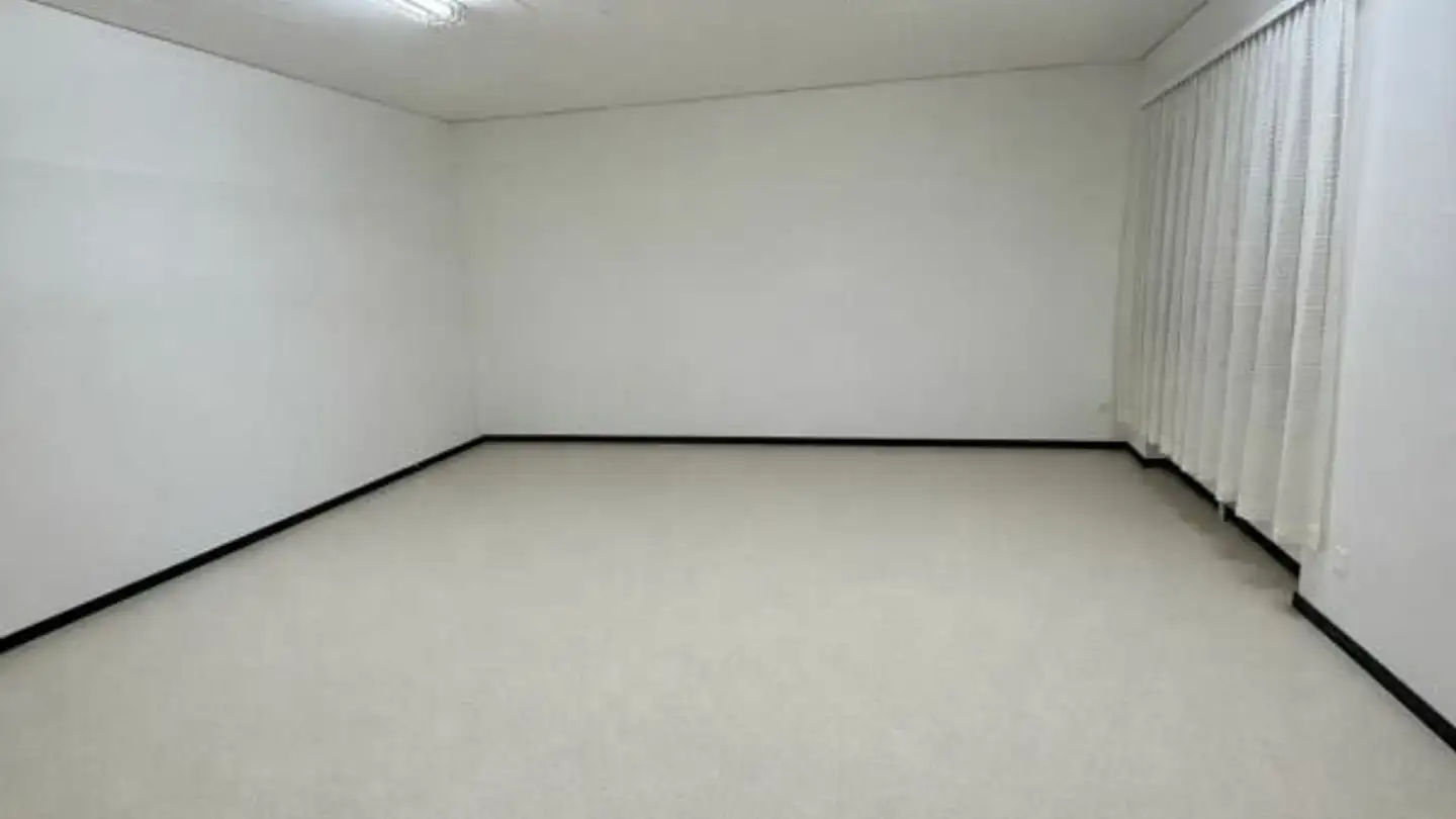 Kaufhaus mieten - Schafmattweg 33, 4102 Binningen
