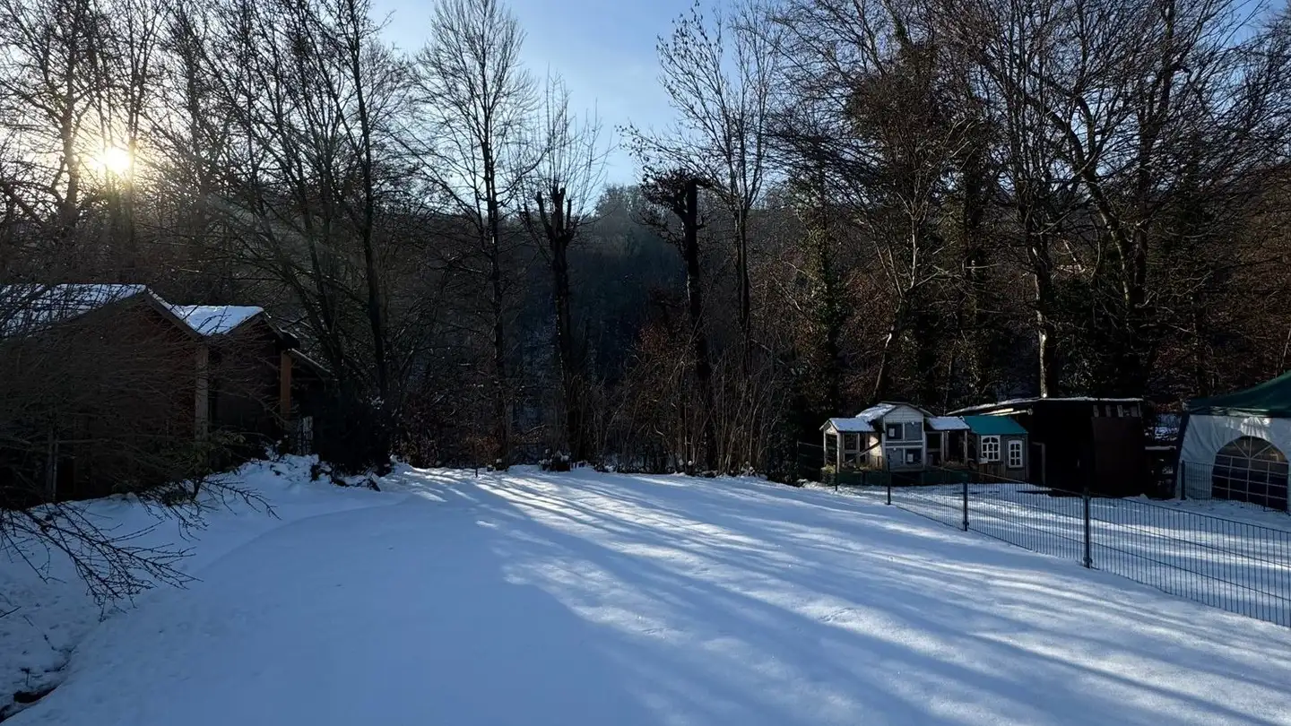 Maison en terrasse à vendre - Weingasse 32, 5612 Villmergen - Photo 4