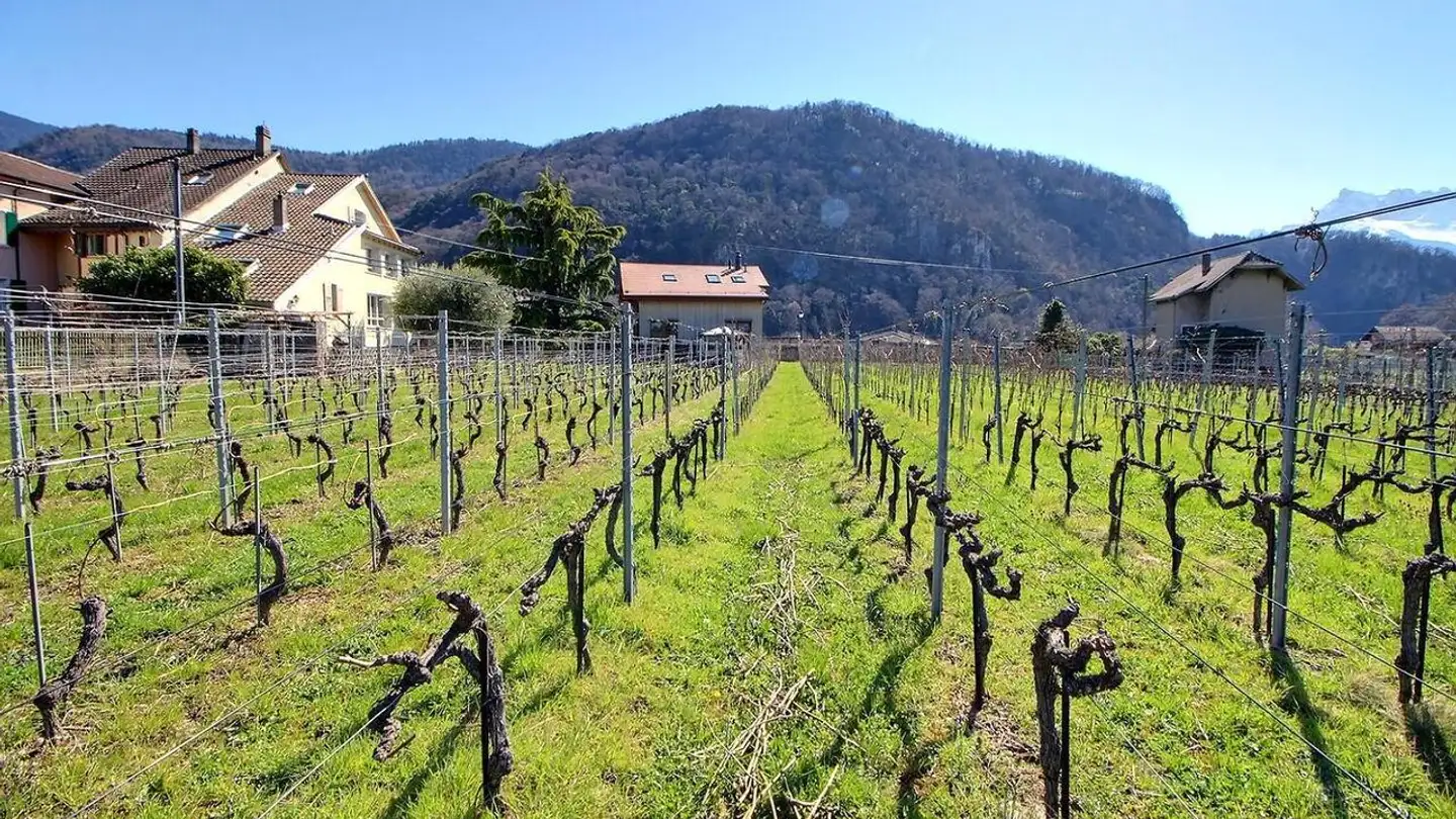 Single house for sale - 1860 Aigle