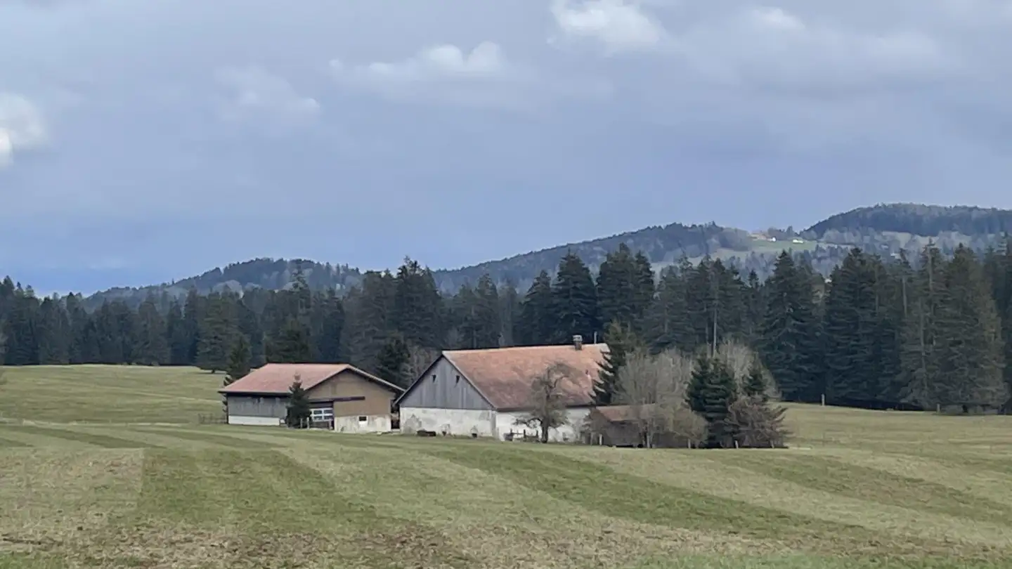 Einfamilienhaus kaufen - 2350 Saignelégier - Foto 4