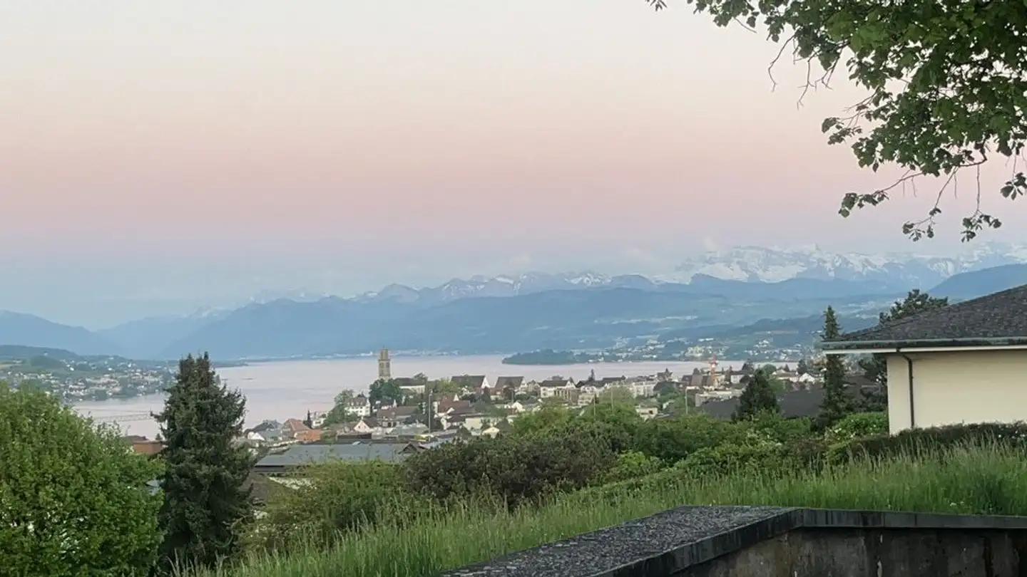 Stanza singola in affitto - Säumerstrasse, 8800 Thalwil - Foto 3