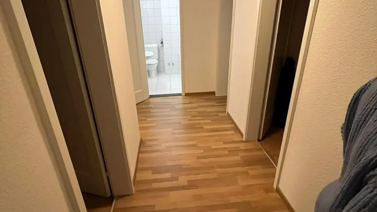 Appartamento in affitto - In Der Wässeri 37, 8047 Zürich