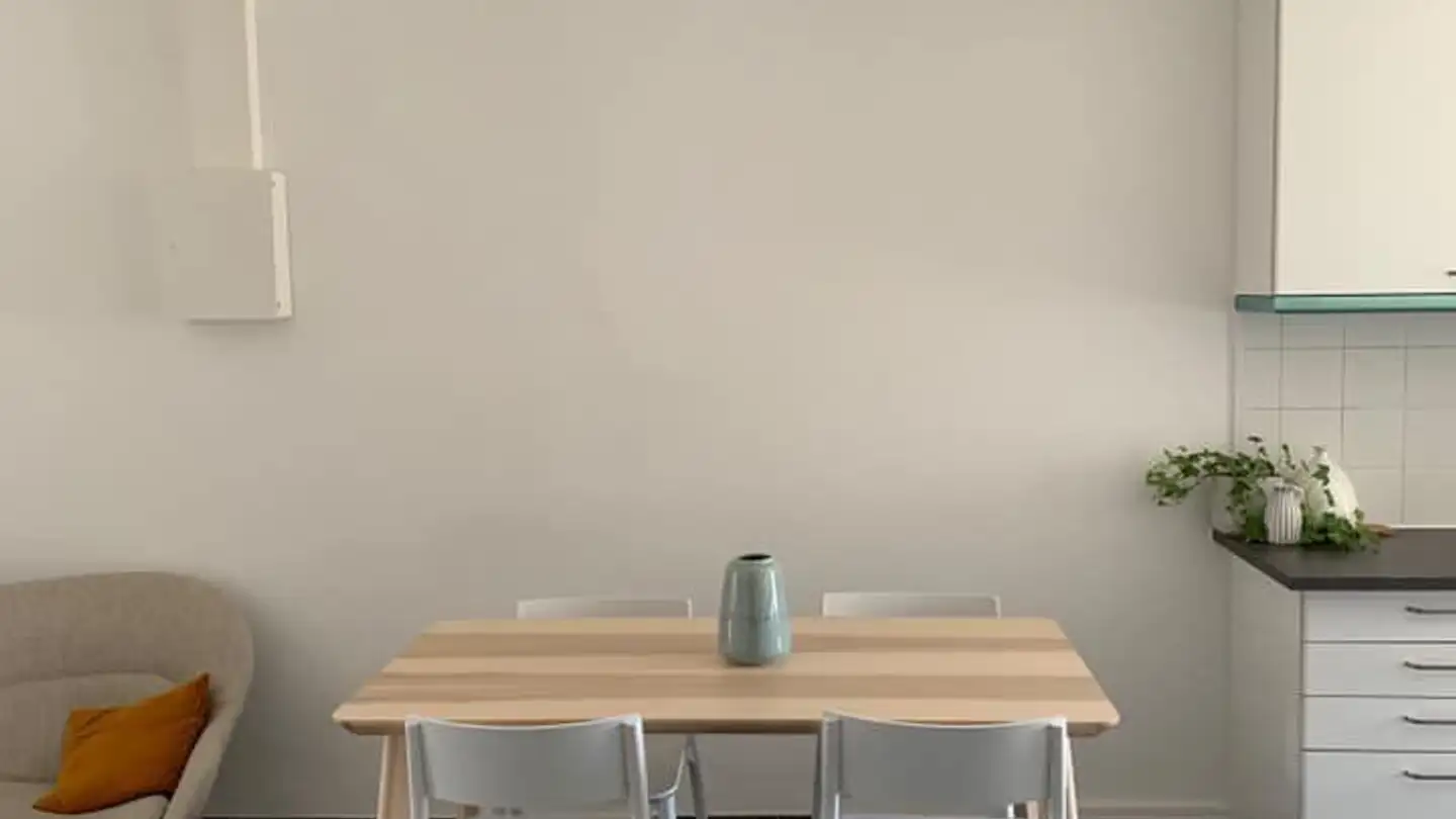 Appartamento ammobiliato in affitto - 1201 Genève - Foto 3