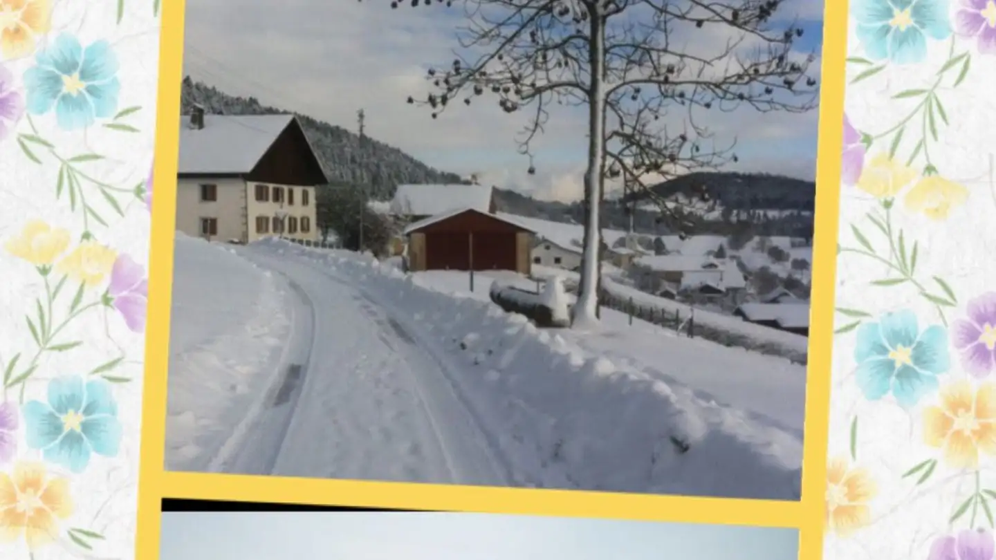 Casa singola in affitto - Sur Prègne 4, 2885 Epauvillers - Foto 2