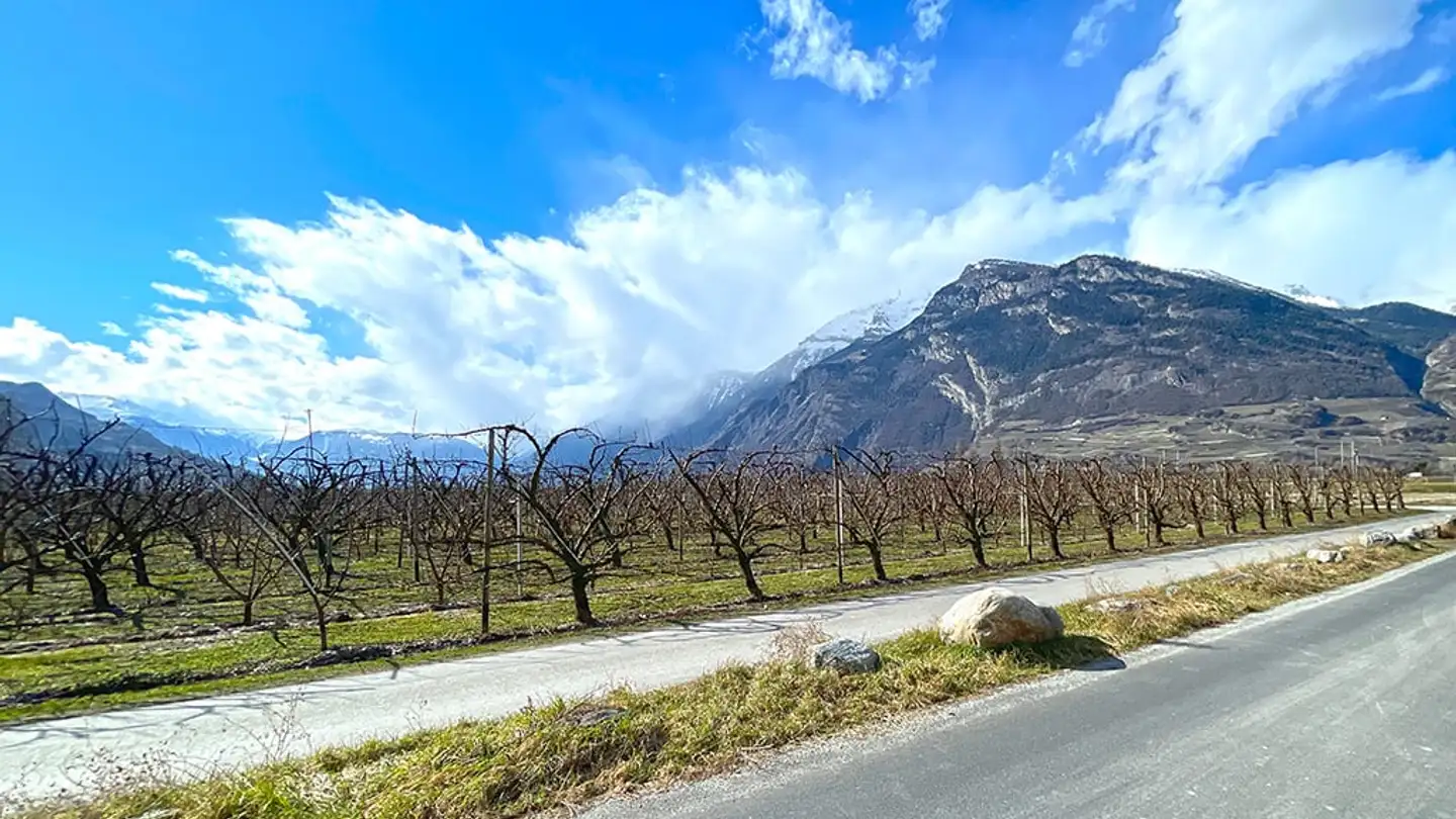 Appartement à vendre - 1908 Riddes - Photo 3