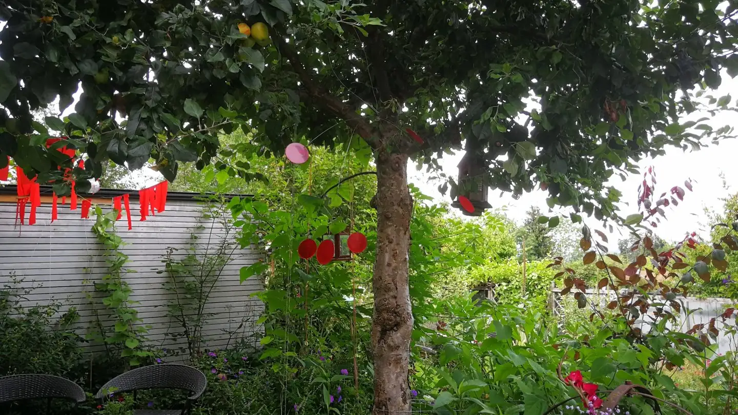 Apartment for rent - Unterer Erlenweg, 8832 Wollerau - Photo 2