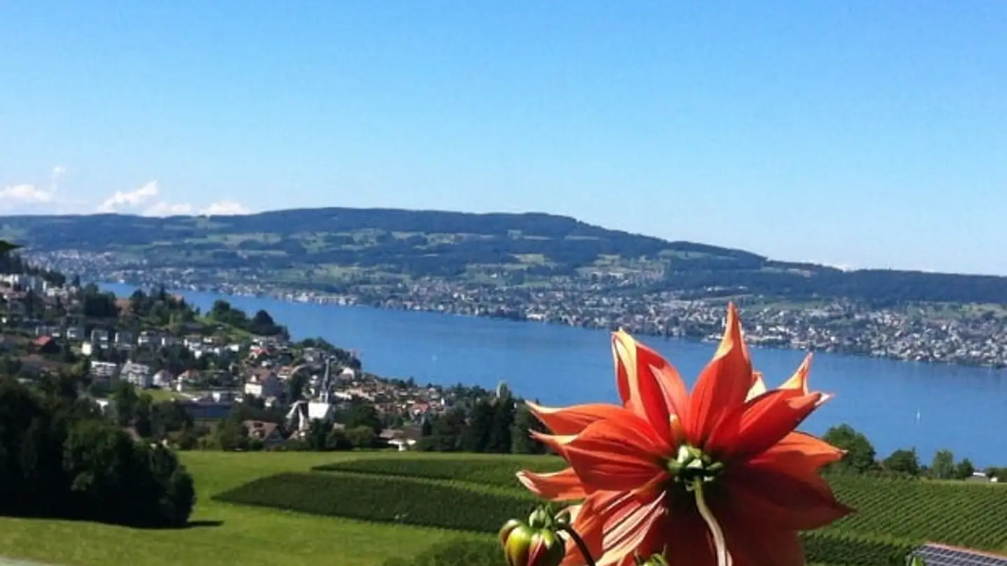 Apartment for rent - Unterer Erlenweg, 8832 Wollerau