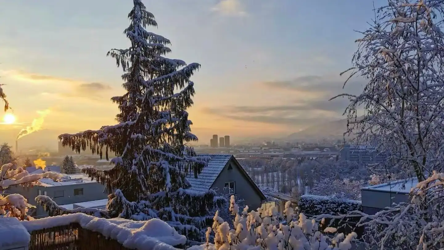 Furnished apartment for rent - Bauherrenstrasse 32, 8049 Zürich