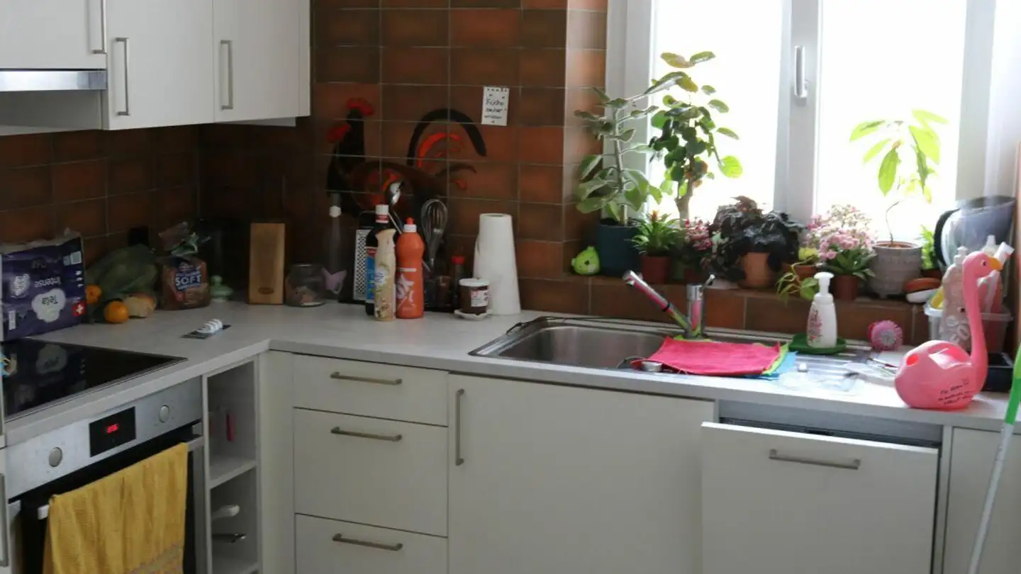 Appartamento in affitto - Neustadt 70, 8200 Schaffhausen - Photo 2