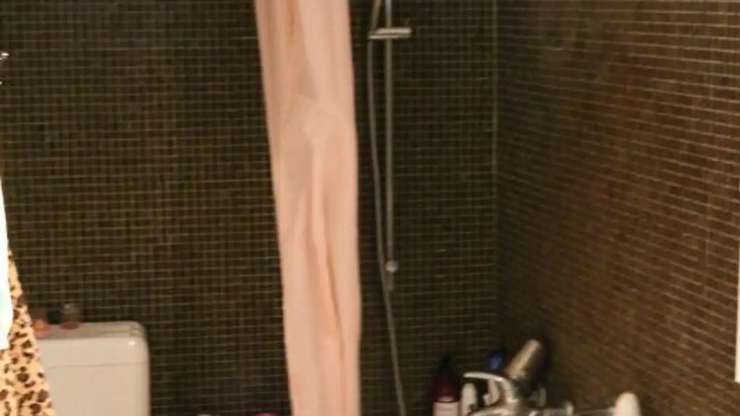 Appartamento in affitto - Neustadt 70, 8200 Schaffhausen - Photo 4