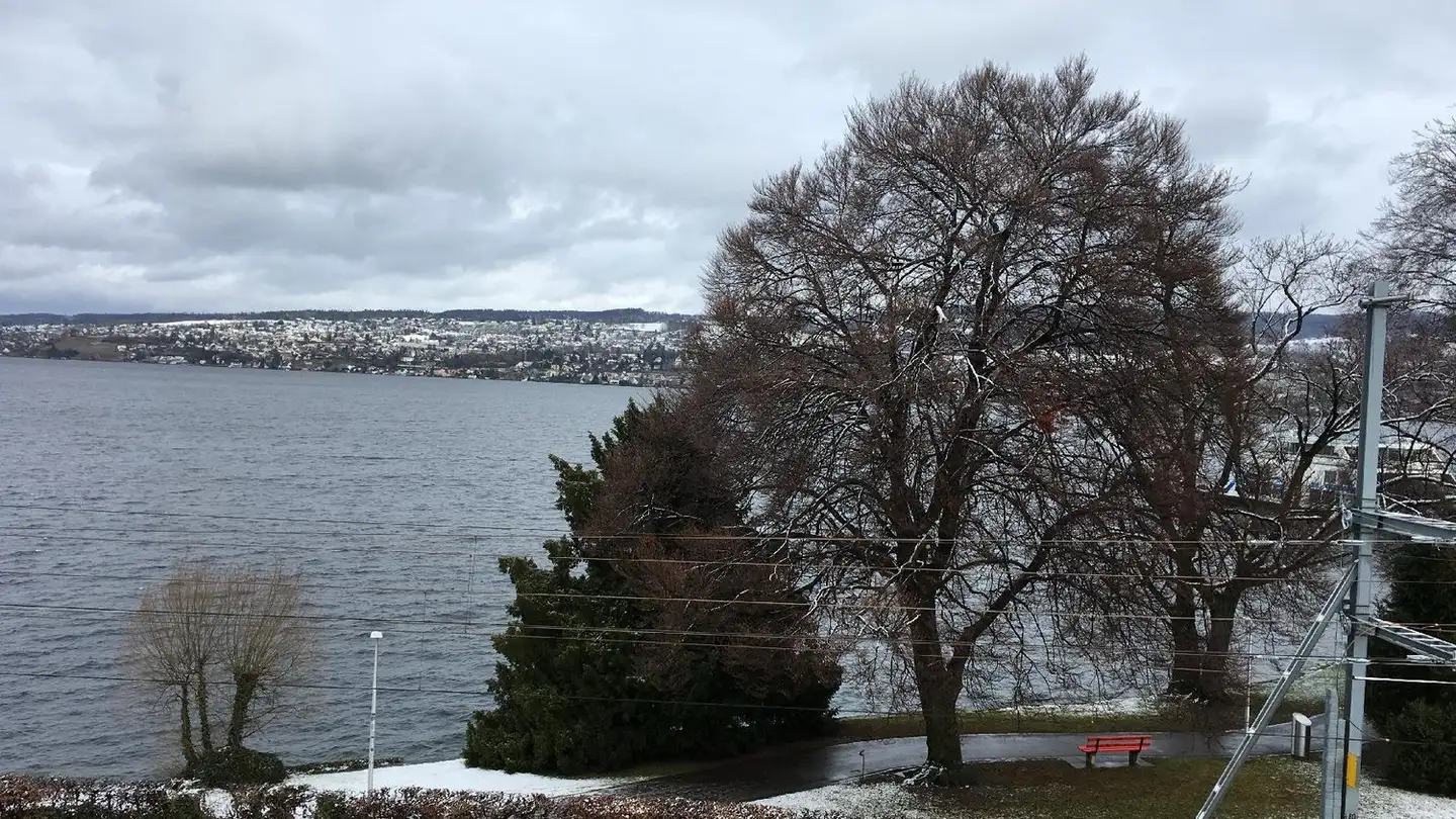 Appartement à louer - Seestrasse 203, 8810 Horgen