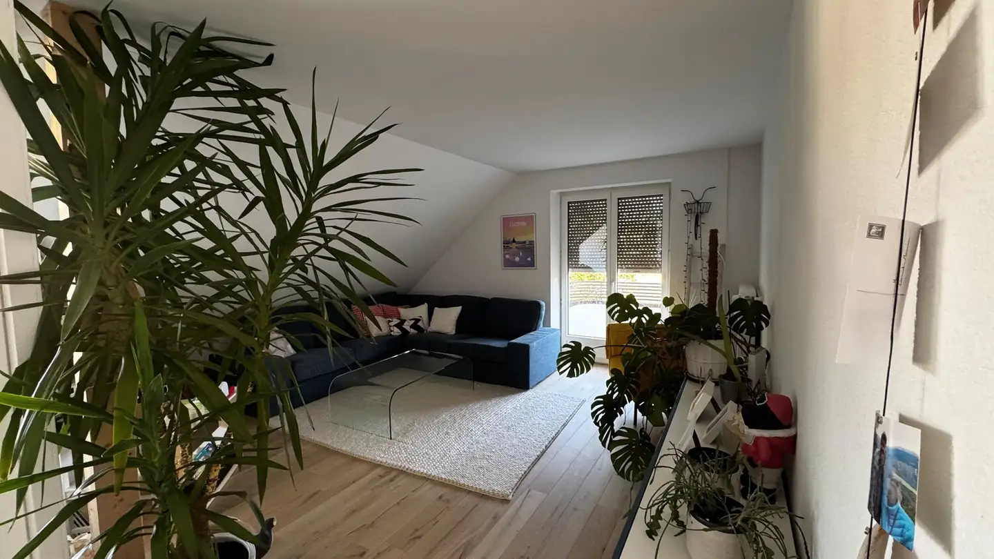 Appartement à louer - 3008 Bern