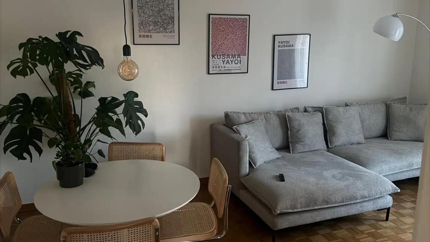 Appartamento ammobiliato in affitto - Hürststrasse 30, 8046 Zürich