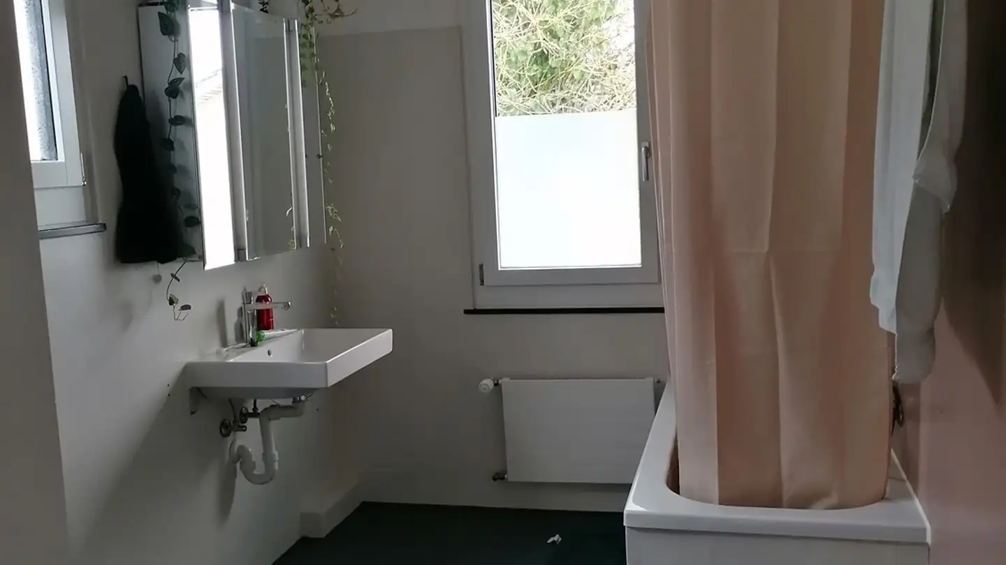 Single room for rent - Weinbergstrasse 114, 8408 Winterthur - Photo 3