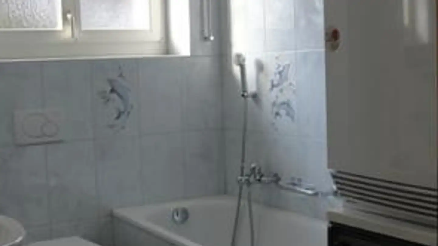 Apartment for rent - 8486 Rikon im Tösstal - Photo 2