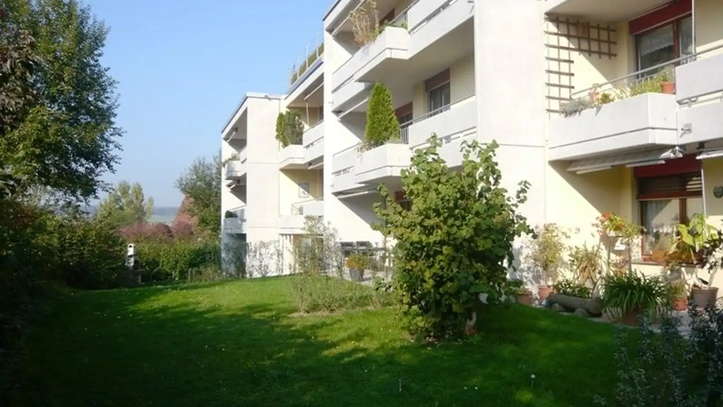Appartement à louer - Frohbergstrasse 4, 8162 Steinmaur