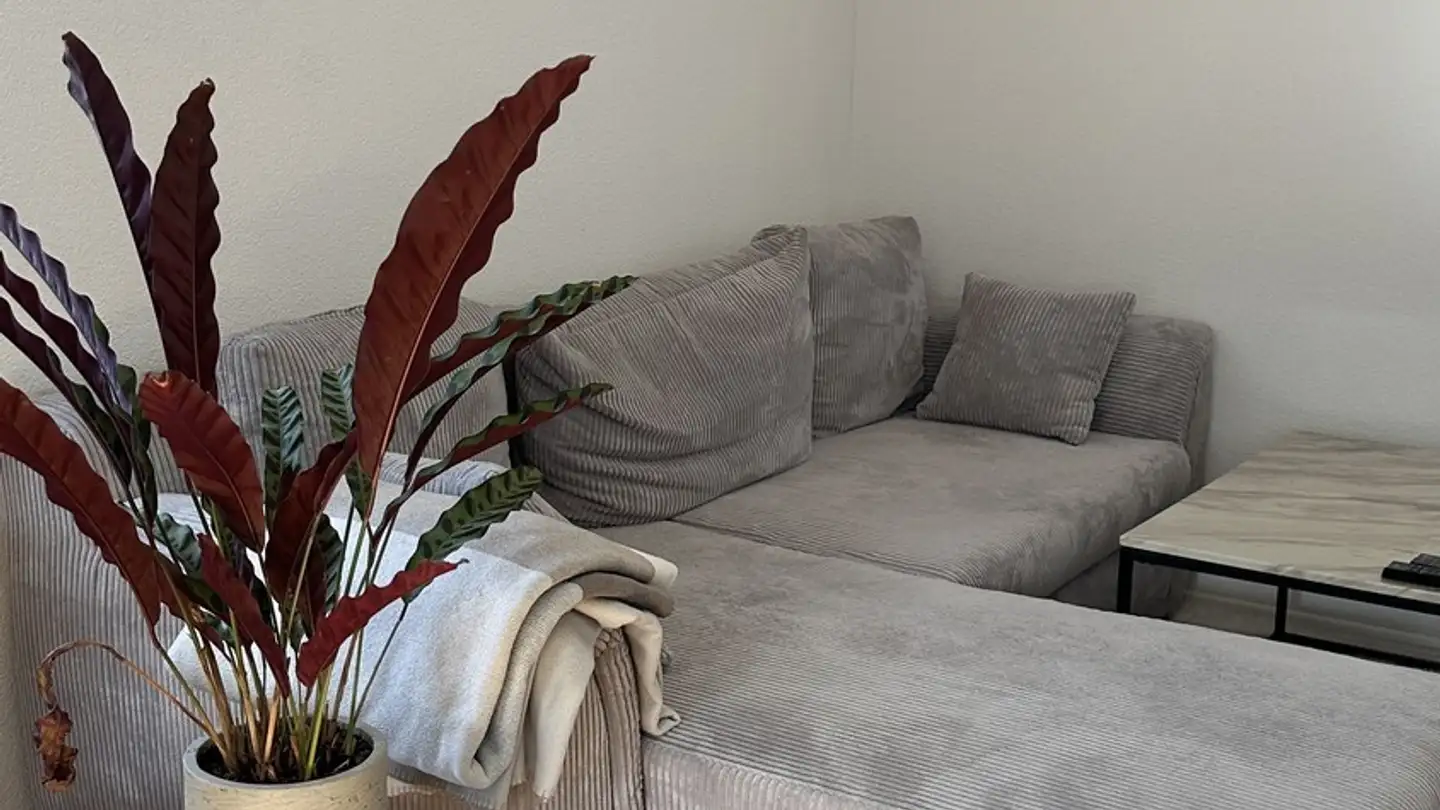 Single room for rent - Sonnenblickstrasse 25, 8404 Winterthur